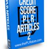 Credit Score PLR Articles 2