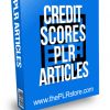 Credit Score PLR Articles