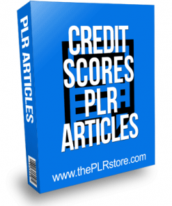 Credit Score PLR Articles