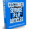 Customer Service PLR Articles