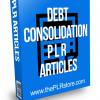 Debt Consolidation PLR Articles