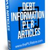 Debt Information PLR Articles