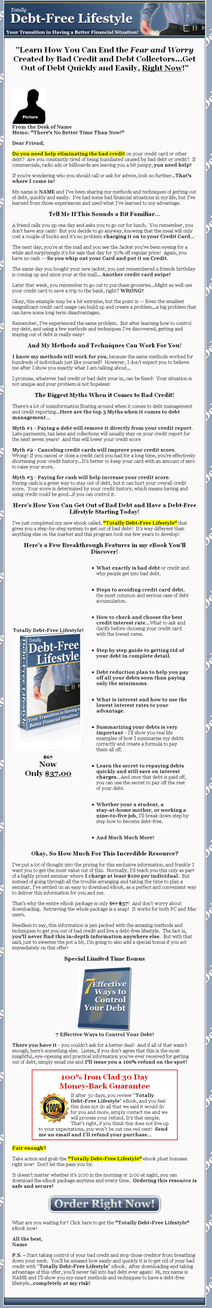 Debt Free PLR eBook - Image 2