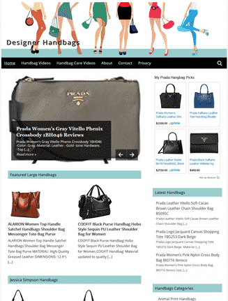Designer Handbags PLR Amazon Store Website