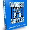 Divorced Dad PLR Articles
