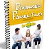 divorced parenting for newbies plr ebook