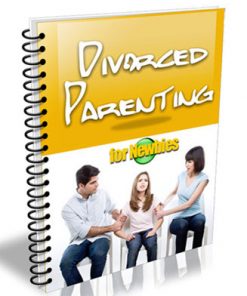 divorced parenting for newbies plr ebook