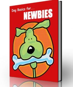 dog basics plr ebook