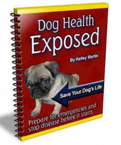 dog health plr ebook
