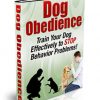 dog obedience plr ebook