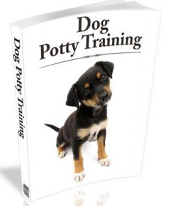 dog potty training plr ebook