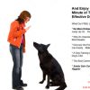 dog training plr autoresponder messages