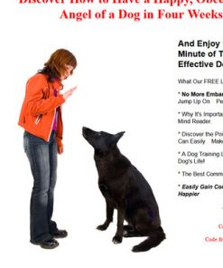 dog training plr autoresponder messages