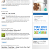Dog Training PLR Website