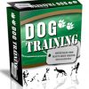 dog training plr website template