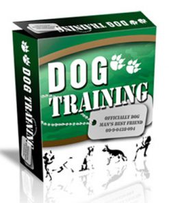 dog training plr website template