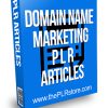 Domain Name Marketing PLR Articles