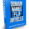 Domain Names PLR Articles