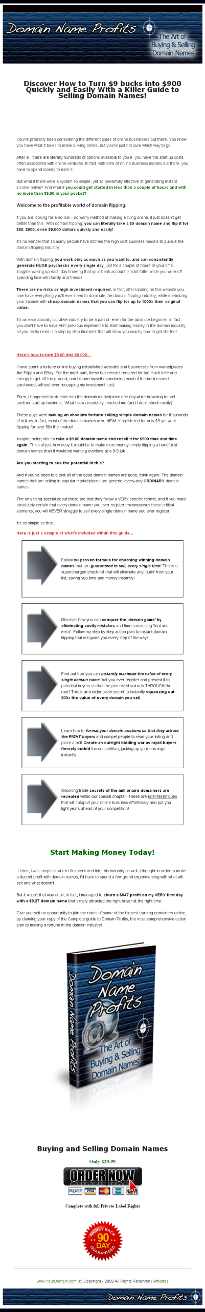Domain Name Profits PLR eBook - Image 2
