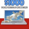 Easily Make $1000 with Article Marketing PLR Listbuilding Set