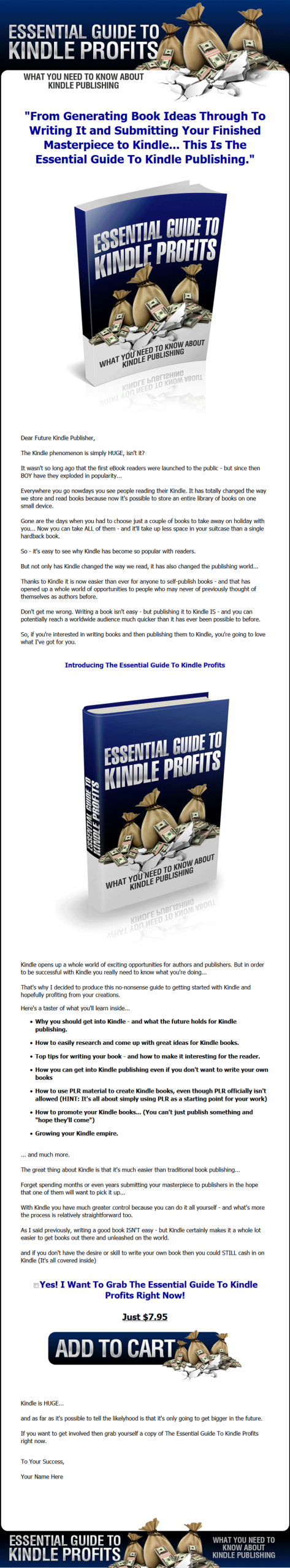 Essential Guide To Kindle Profits Ebook MRR - Image 2