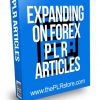 Expanding On Forex PLR Articles