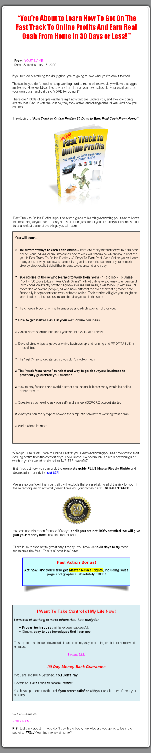 Fast Track to Online Profits MRR eBook - Image 2