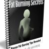 fat burning secrets plr ebook