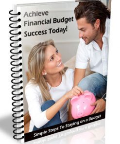 financial budget plr list building