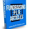 Fundraising PLR Articles
