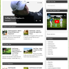 Golf Swing Pro PLR Website with private label rights