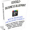 google+ business blueprint plr ebook