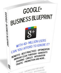 google+ business blueprint plr ebook