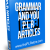 Grammar and You PLR Articles