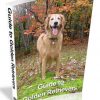 guide to golden retrievers plr ebook