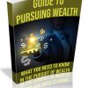 Guide to Pursuing Wealth PLR Ebook