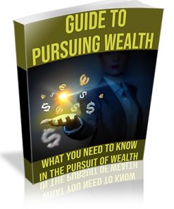 Guide to Pursuing Wealth PLR Ebook