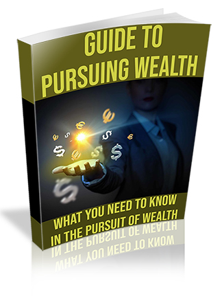 Guide to Pursuing Wealth PLR Ebook