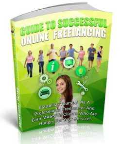 Guide To Successful Online Freelancing PLR Ebook