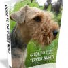 guide to terrier dogs plr ebook