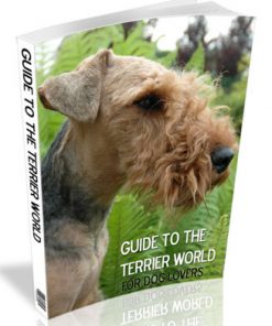 guide to terrier dogs plr ebook