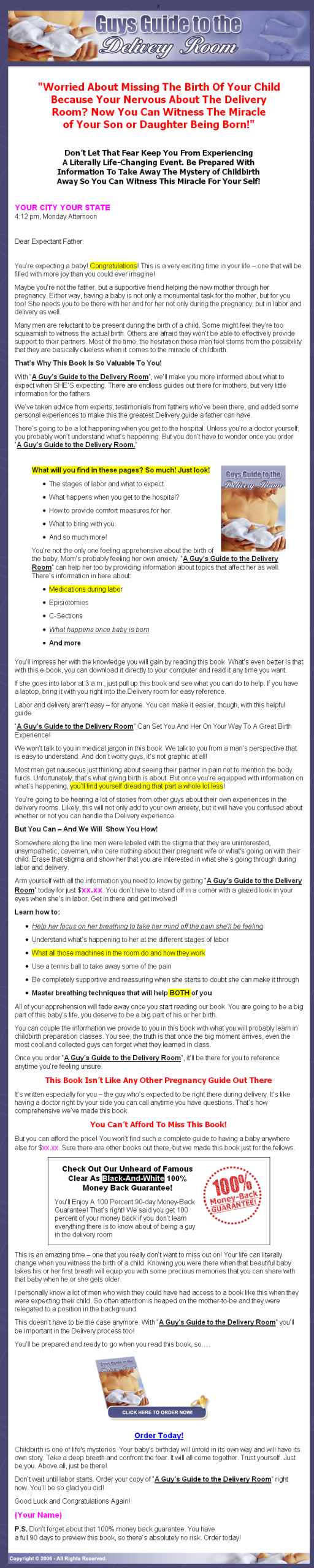 Guys Guide to the Birthing Room PLR eBook - Image 2