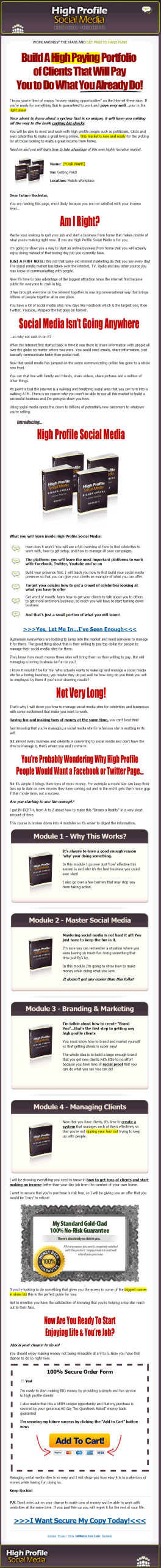 High Profile Social Media Marketing PLR Ebook Package - Image 4