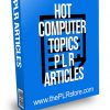 Hot Computer Topics PLR Articles