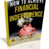 How to Achieve Your Own Financial Independence PLR Ebook