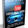 how to get 10 000 real youtube views in a week plr report