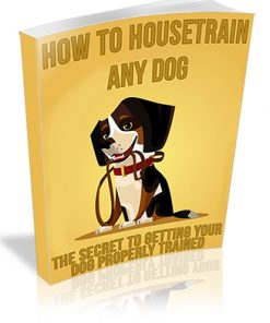 How to Housetrain Any Dog PLR Ebook