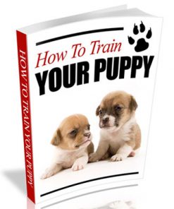 how to train your puppy plr ebook