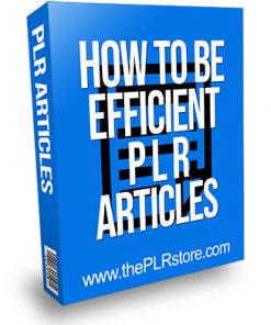 How to Be Efficient PLR Articles