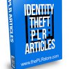 Identity Theft PLR Articles